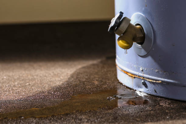 Zephyrhills North, FL Water damage restoration Company