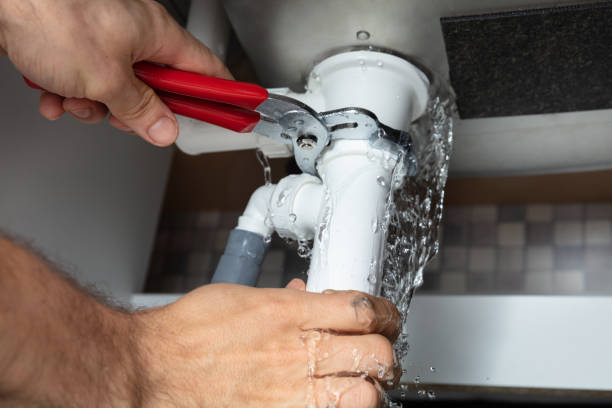 Best Water damage restoration near me  in Zephyrhills North, FL