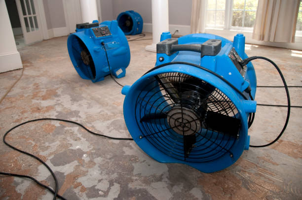 Best Professional water damage repair  in Zephyrhills North, FL