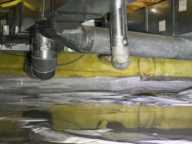 Best Emergency water damage restoration  in Zephyrhills North, FL