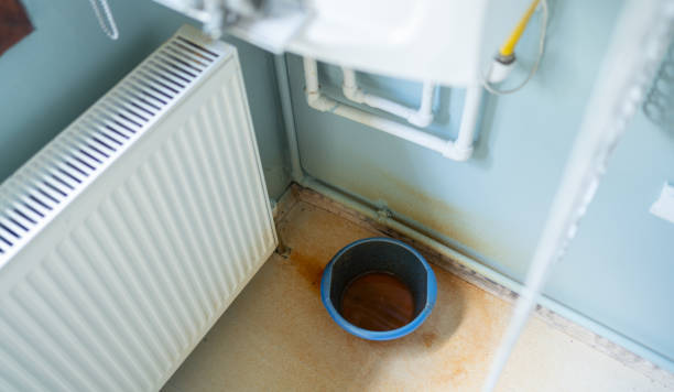 Best Basement water damage restoration  in Zephyrhills North, FL