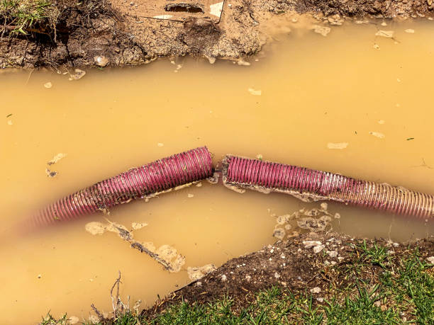 Best Water damage restoration near me  in Zephyrhills North, FL