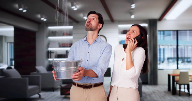 Best Commercial water damage restoration  in Zephyrhills North, FL