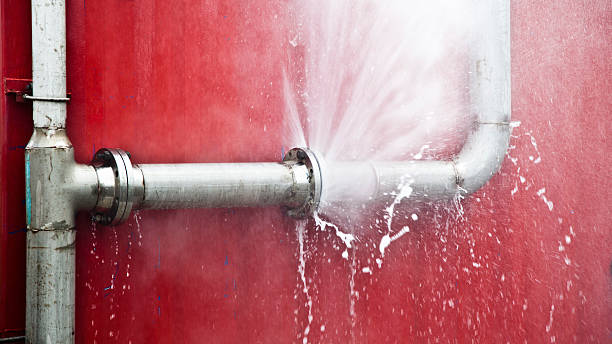 Best Local water damage restoration  in Zephyrhills North, FL